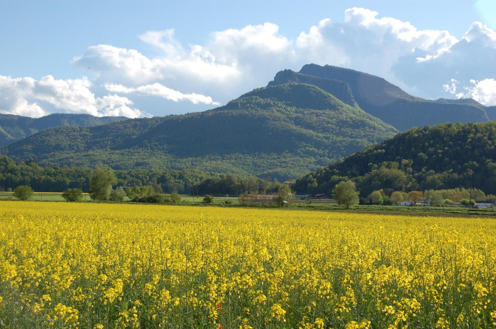 Casa Rural Mas Garganta La Pinya Exteriér fotografie