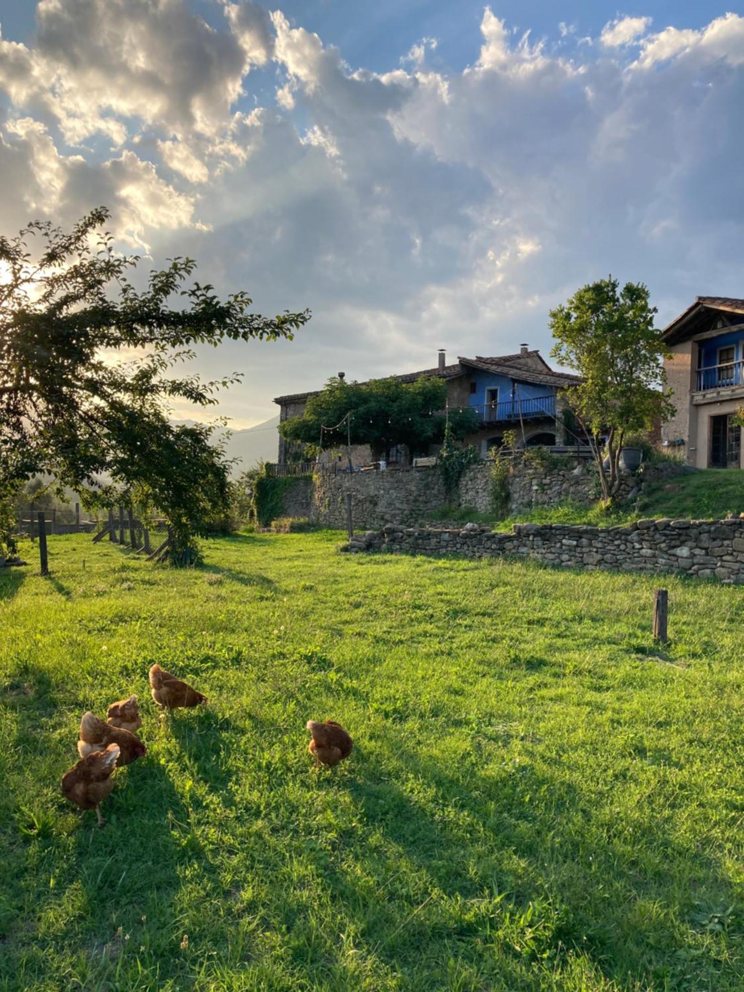 Casa Rural Mas Garganta La Pinya Exteriér fotografie